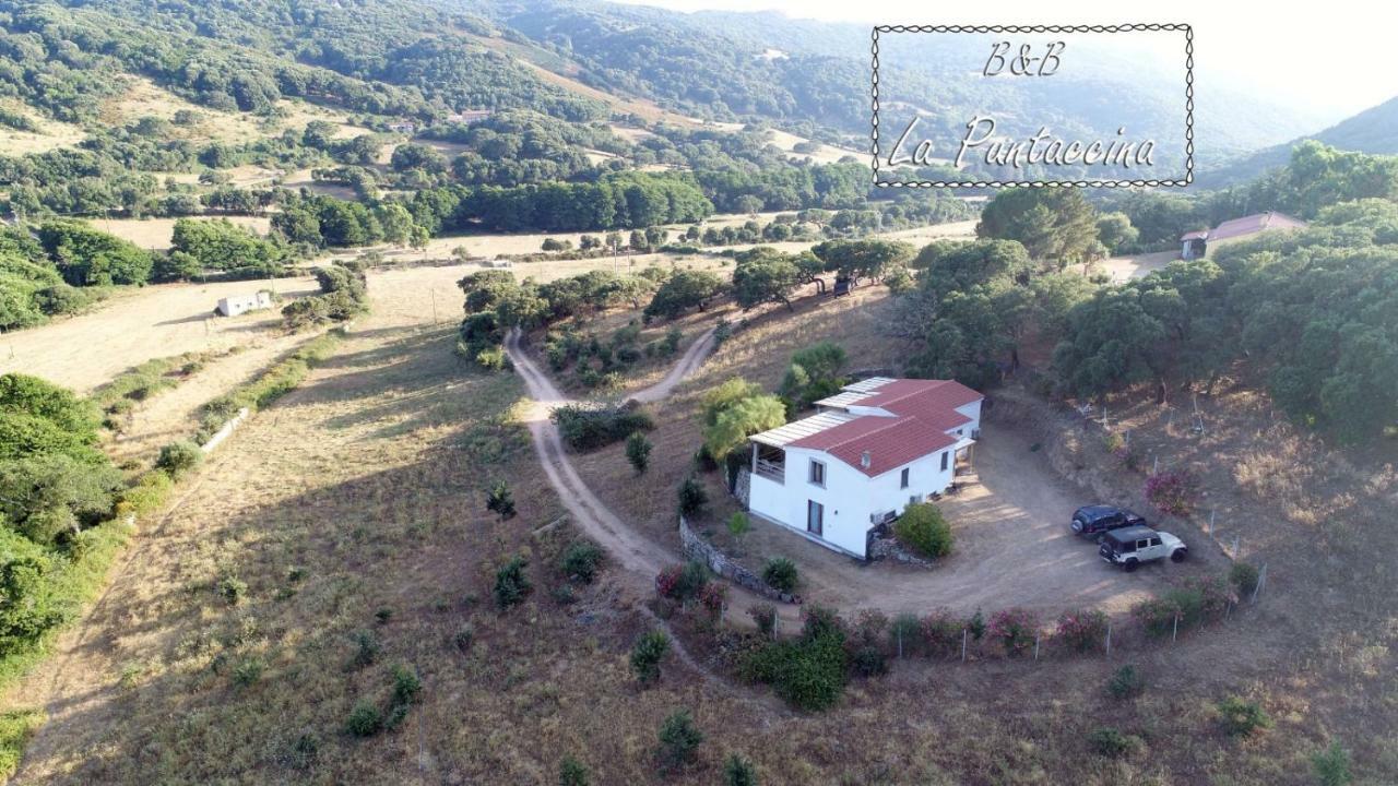 La Puntaccina Villa Aglientu Exterior photo